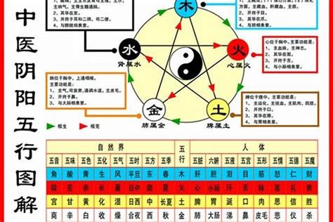 怎麼知道自己五行屬什麼|一文教你看清自己的命格五行！【八字2021】